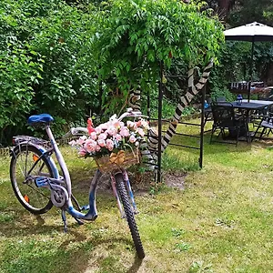 Retro Hostel